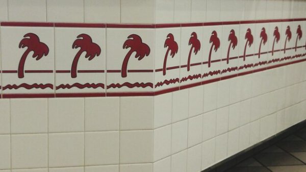 Mille-pattes dans la salle de bain : pourquoi et comment agir ?