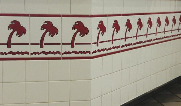 Mille-pattes dans la salle de bain : pourquoi et comment agir ?