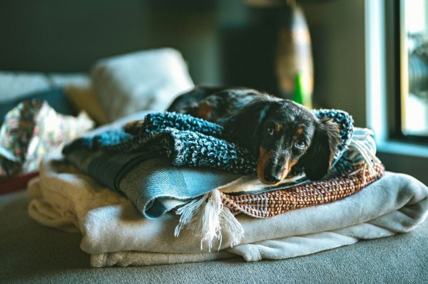 Comment créer une ambiance cocooning dans un petit salon sans tout racheter